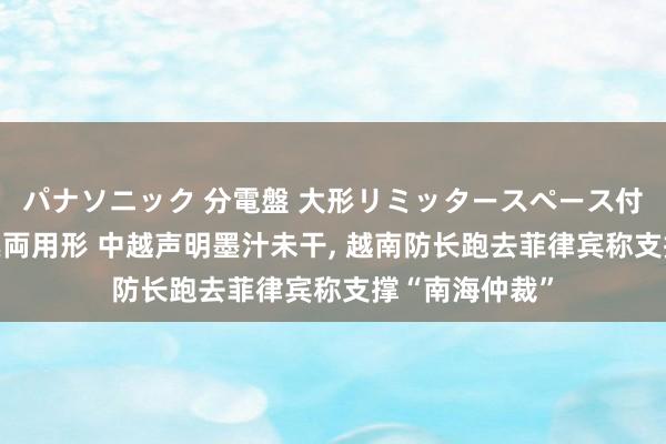 パナソニック 分電盤 大形リミッタースペース付 露出・半埋込両用形 中越声明墨汁未干， 越南防长跑去菲律宾称支撑“南海仲裁”