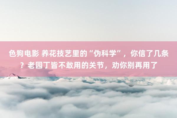 色狗电影 养花技艺里的“伪科学”，你信了几条？老园丁皆不敢用的关节，劝你别再用了