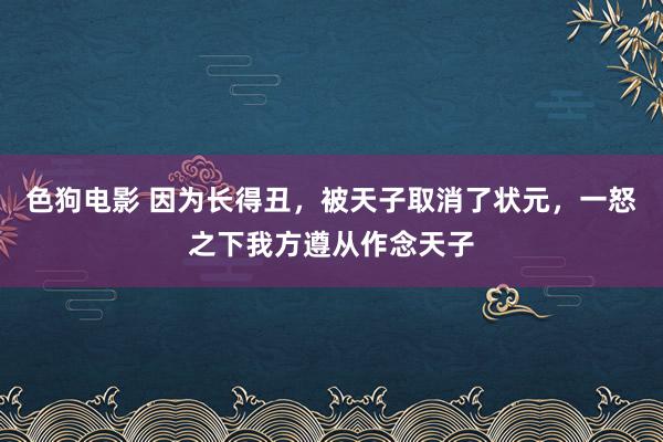 色狗电影 因为长得丑，被天子取消了状元，一怒之下我方遵从作念天子