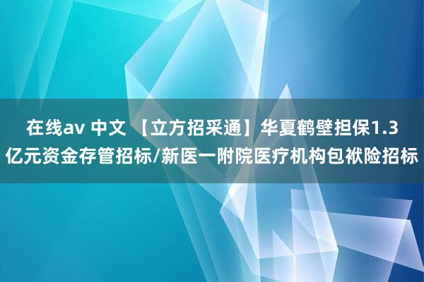 在线av 中文 【立方招采通】华夏鹤壁担保1.3亿元资金存管招标/新医一附院医疗机构包袱险招标