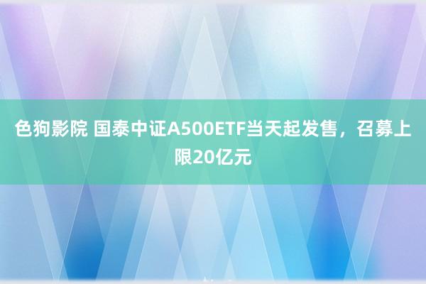色狗影院 国泰中证A500ETF当天起发售，召募上限20亿元