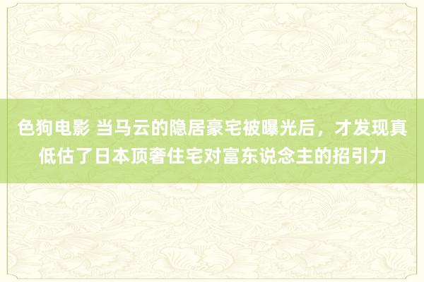 色狗电影 当马云的隐居豪宅被曝光后，才发现真低估了日本顶奢住宅对富东说念主的招引力