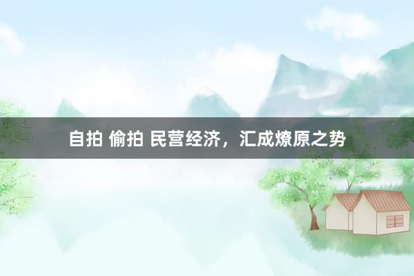 自拍 偷拍 民营经济，汇成燎原之势