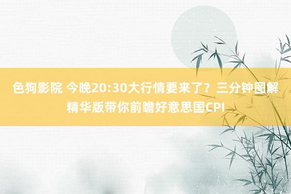 色狗影院 今晚20:30大行情要来了？三分钟图解精华版带你前瞻好意思国CPI