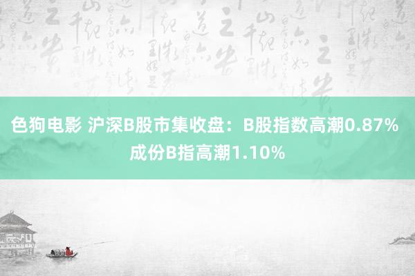色狗电影 沪深B股市集收盘：B股指数高潮0.87% 成份B指高潮1.10%