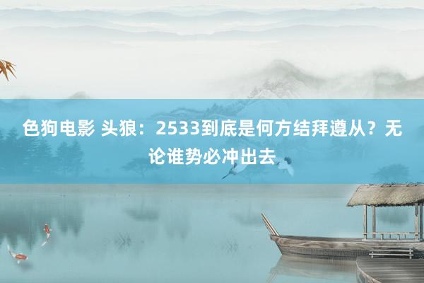 色狗电影 头狼：2533到底是何方结拜遵从？无论谁势必冲出去