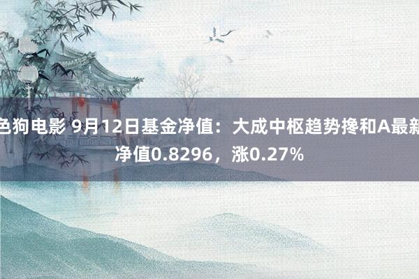 色狗电影 9月12日基金净值：大成中枢趋势搀和A最新净值0.8296，涨0.27%