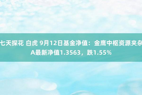 七天探花 白虎 9月12日基金净值：金鹰中枢资源夹杂A最新净值1.3563，跌1.55%