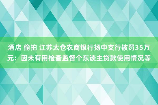酒店 偷拍 江苏太仓农商银行扬中支行被罚35万元：因未有用检查监督个东谈主贷款使用情况等