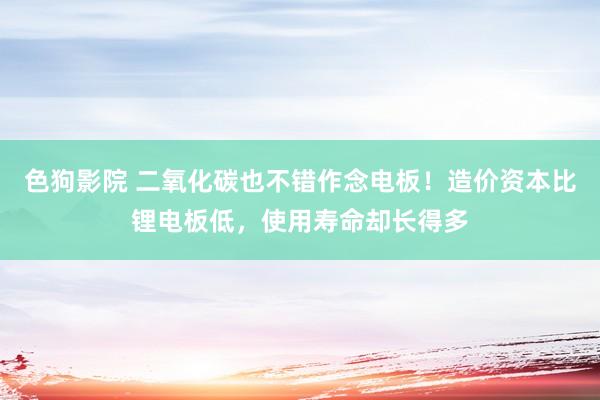 色狗影院 二氧化碳也不错作念电板！造价资本比锂电板低，使用寿命却长得多