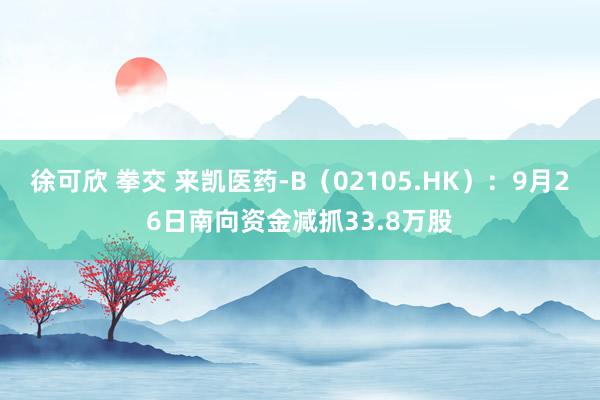 徐可欣 拳交 来凯医药-B（02105.HK）：9月26日南向资金减抓33.8万股