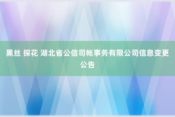 黑丝 探花 湖北省公信司帐事务有限公司信息变更公告