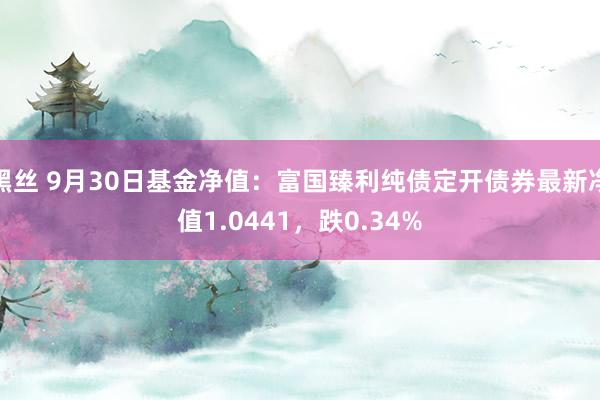 黑丝 9月30日基金净值：富国臻利纯债定开债券最新净值1.0441，跌0.34%