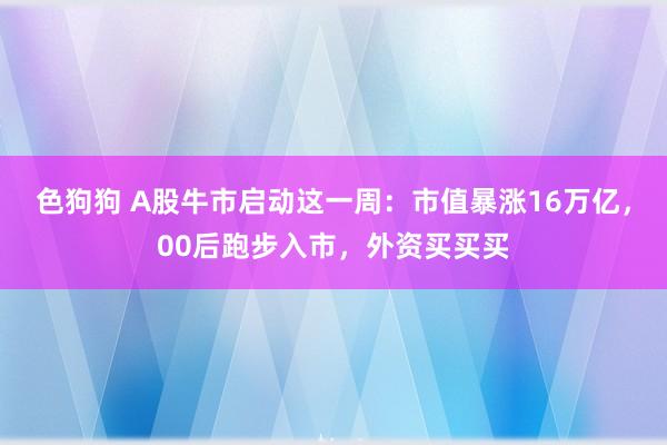 色狗狗 A股牛市启动这一周：市值暴涨16万亿，00后跑步入市，外资买买买