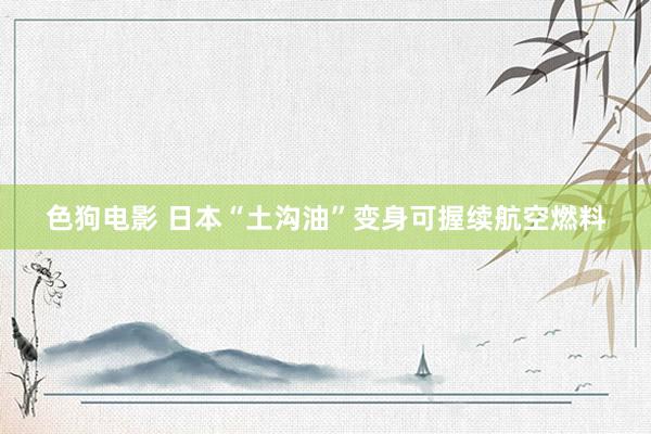 色狗电影 日本“土沟油”变身可握续航空燃料