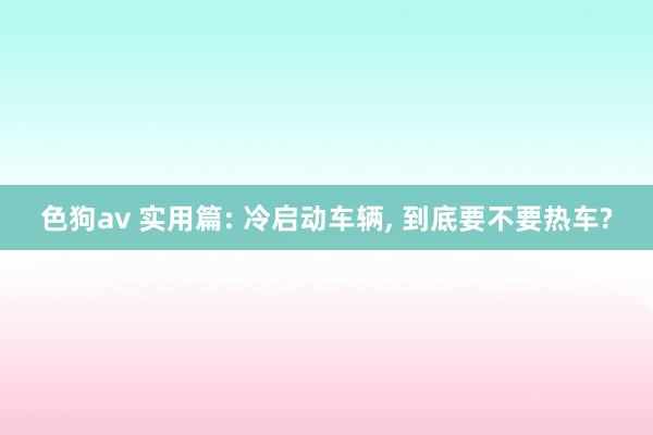 色狗av 实用篇: 冷启动车辆， 到底要不要热车?