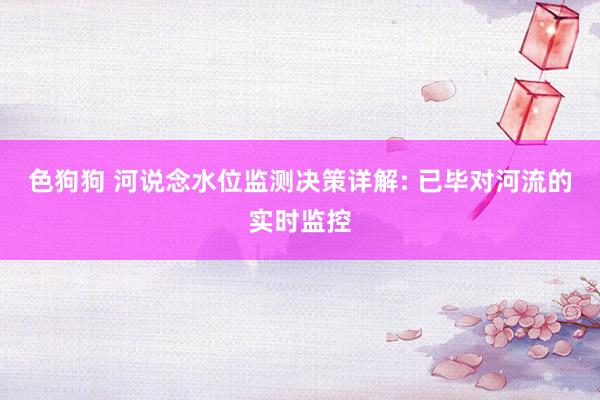 色狗狗 河说念水位监测决策详解: 已毕对河流的实时监控