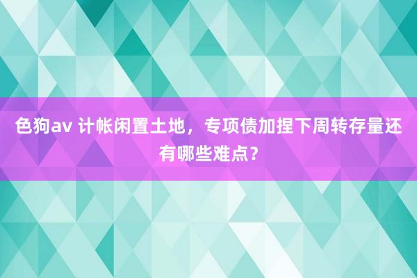 色狗av 计帐闲置土地，专项债加捏下周转存量还有哪些难点？