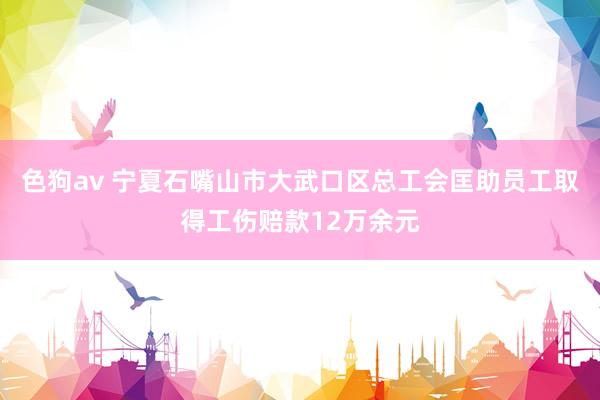色狗av 宁夏石嘴山市大武口区总工会匡助员工取得工伤赔款12万余元