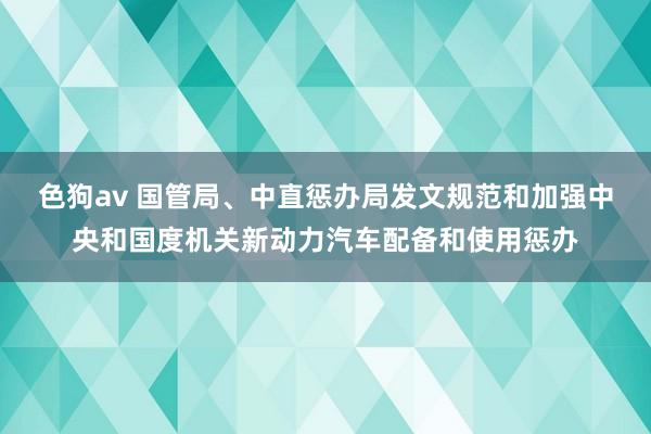 色狗av 国管局、中直惩办局发文规范和加强中央和国度机关新动力汽车配备和使用惩办