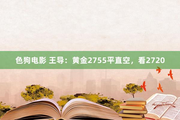 色狗电影 王导：黄金2755平直空，看2720