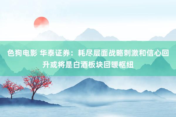 色狗电影 华泰证券：耗尽层面战略刺激和信心回升或将是白酒板块回暖枢纽
