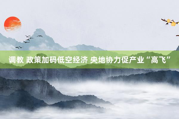 调教 政策加码低空经济 央地协力促产业“高飞”