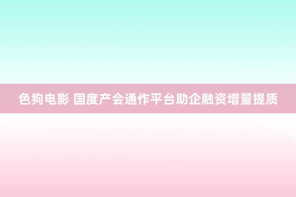 色狗电影 国度产会通作平台助企融资增量提质