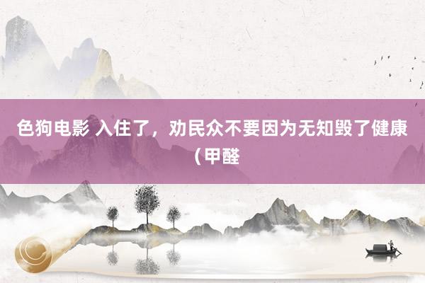 色狗电影 入住了,劝民众不要因为无知毁了健康(甲醛