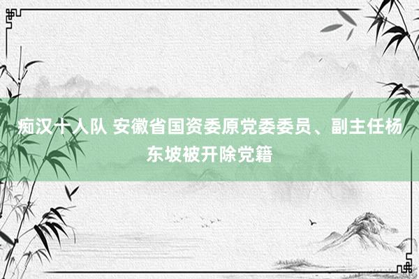 痴汉十人队 安徽省国资委原党委委员、副主任杨东坡被开除党籍