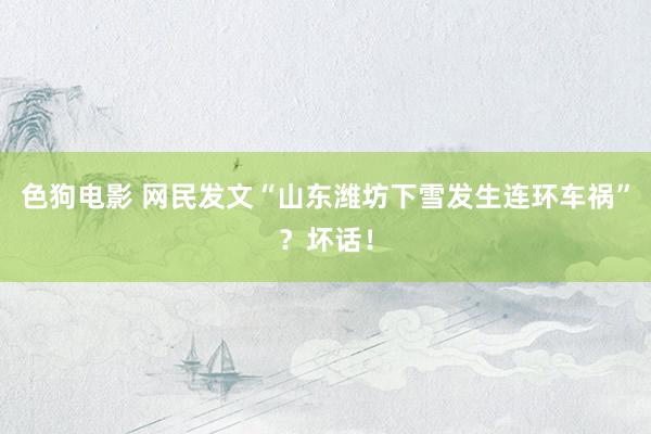 色狗电影 网民发文“山东潍坊下雪发生连环车祸”？坏话！