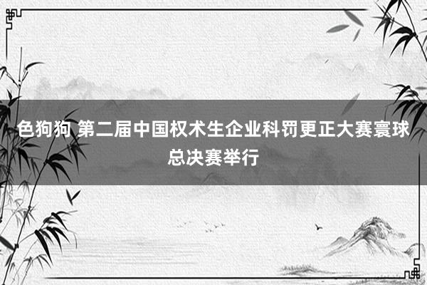 色狗狗 第二届中国权术生企业科罚更正大赛寰球总决赛举行