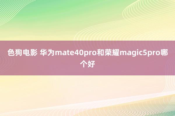 色狗电影 华为mate40pro和荣耀magic5pro哪个好