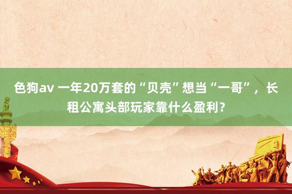色狗av 一年20万套的“贝壳”想当“一哥”，长租公寓头部玩家靠什么盈利？
