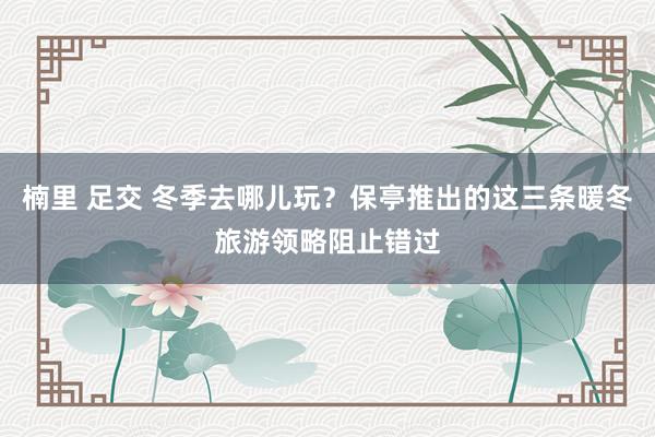 楠里 足交 冬季去哪儿玩？保亭推出的这三条暖冬旅游领略阻止错过