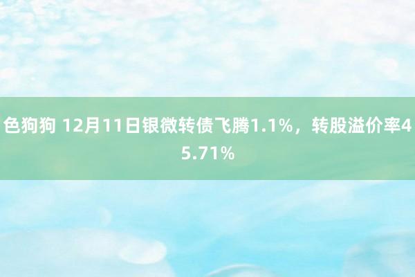 色狗狗 12月11日银微转债飞腾1.1%，转股溢价率45.71%