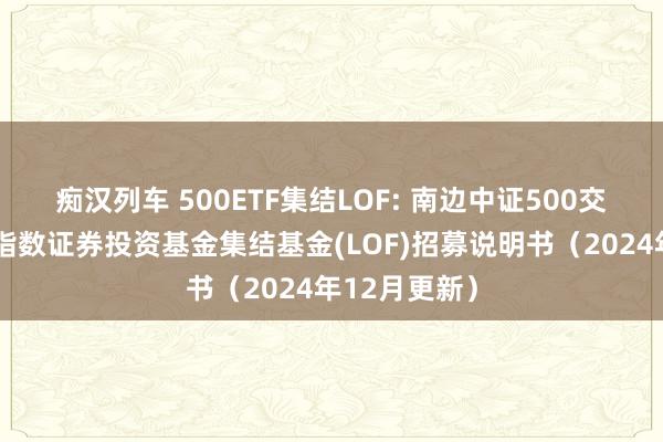 痴汉列车 500ETF集结LOF: 南边中证500交易型绽开式指数证券投资基金集结基金(LOF)招募说明书(2024年12月更新)