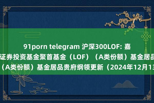 91porn telegram 沪深300LOF: 嘉实沪深300交游型怒放式指数证券投资基金聚首基金(LOF)(A类份额)基金居品贵府纲领更新(2024年12月13日)