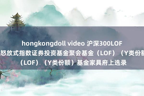 hongkongdoll video 沪深300LOF: 嘉实沪深300来回型怒放式指数证券投资基金聚会基金(LOF)(Y类份额)基金家具府上选录