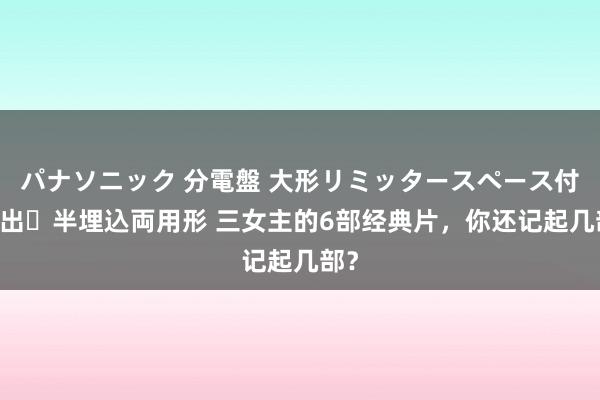 パナソニック 分電盤 大形リミッタースペース付 露出・半埋込両用形 三女主的6部经典片，你还记起几部？