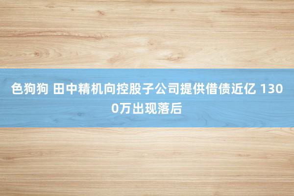 色狗狗 田中精机向控股子公司提供借债近亿 1300万出现落后