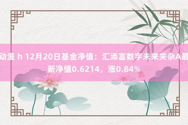 动漫 h 12月20日基金净值：汇添富数字未来夹杂A最新净值0.6214，涨0.84%
