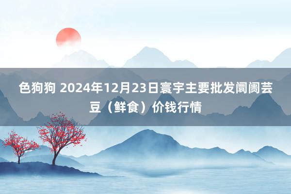 色狗狗 2024年12月23日寰宇主要批发阛阓芸豆(鲜食)价钱行情