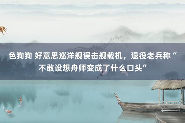 色狗狗 好意思巡洋舰误击舰载机，退役老兵称“不敢设想舟师变成了什么口头”