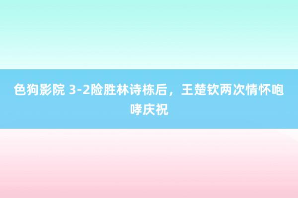 色狗影院 3-2险胜林诗栋后,王楚钦两次情怀咆哮庆祝