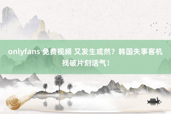onlyfans 免费视频 又发生或然？韩国失事客机残破片刻活气！