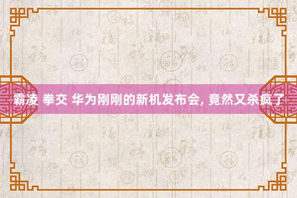 霸凌 拳交 华为刚刚的新机发布会， 竟然又杀疯了