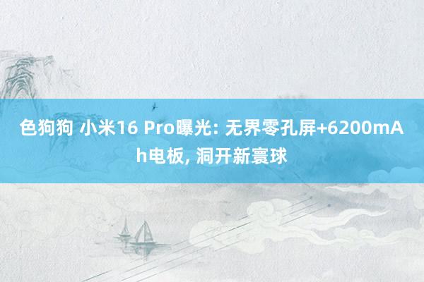 色狗狗 小米16 Pro曝光: 无界零孔屏+6200mAh电板， 洞开新寰球