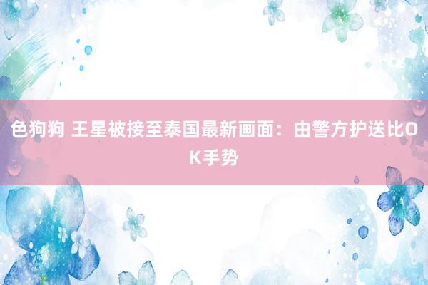 色狗狗 王星被接至泰国最新画面：由警方护送比OK手势