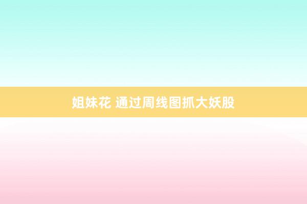 姐妹花 通过周线图抓大妖股